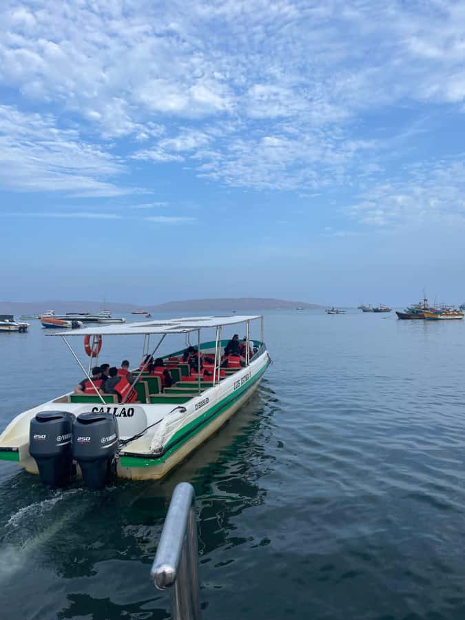 Paracas: speedboat BALLESTAS ISLANDS TOUR - Is $18 a good price?