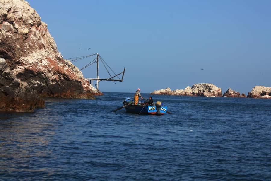 Paracas: speedboat BALLESTAS ISLANDS TOUR - Who will enjoy this boat trip most?
