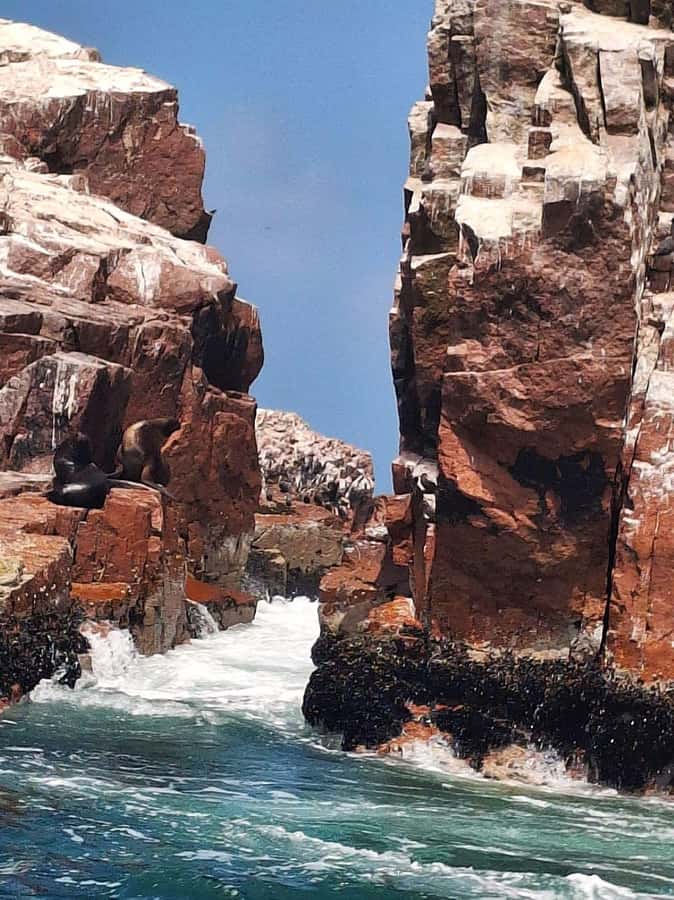 Paracas: Tours to Ballestas Islands by Speed Boat - Why this four-hour Paracas outing works