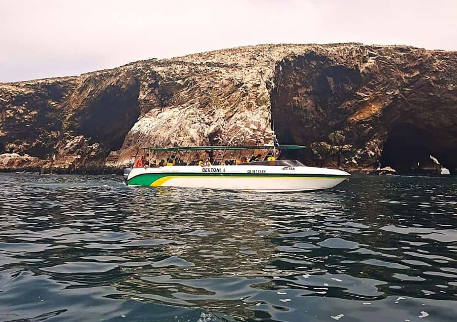 Paracas: Tours to Ballestas Islands by Speed Boat - Circling the Ballestas Islands and their caves