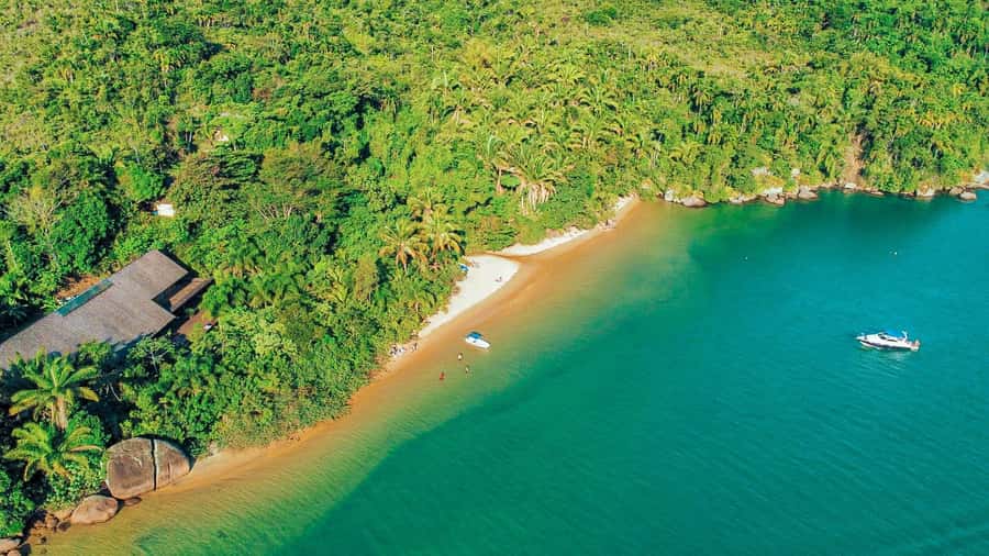 Paraty: Saco do Mamanguá Speedboat Tour - Ilha dos Cocos and the Clear Water