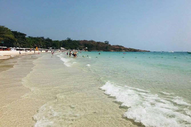 Pattaya : Coral Island Tour by Speedboat with Indian Lunch & Pick Up from Hotel - What this $8.63 Pattaya tour actually offers