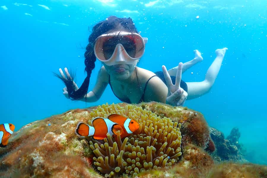 Pattaya: Private Speedboat Nemo Island with Snorkel & BBQ - Key Things to Know Before You Book