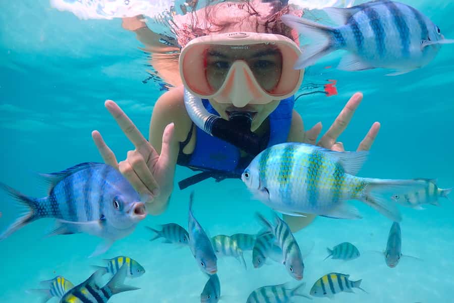 Pattaya: Private Speedboat Nemo Island with Snorkel & BBQ - What the Private Format Is Really Worth