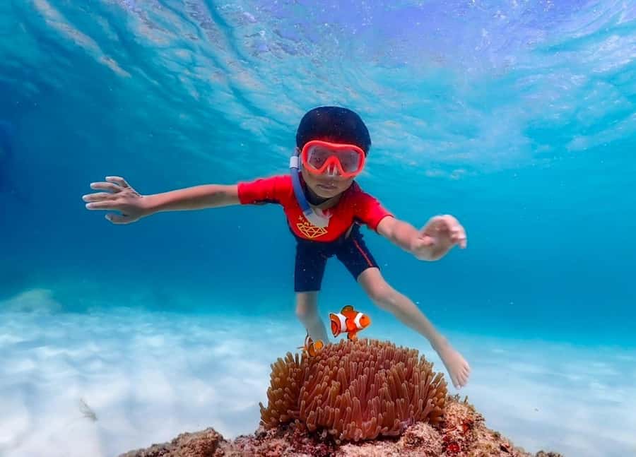 Pattaya: Private Speedboat Nemo Island with Snorkel & BBQ - Who Will Enjoy This Day Most?
