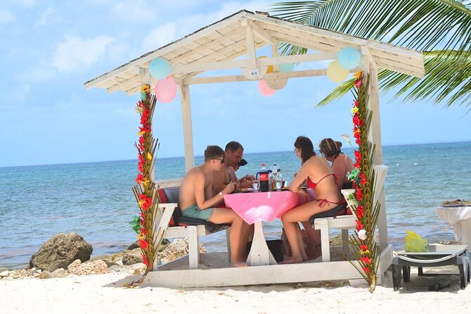 Perfect Day at Saona Island by Speedboat - Completely Private - Saona’s Clearwater Beach and the Survivor setting