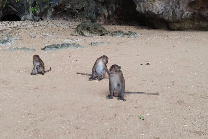 Phang Nga Bay Island Boat Tour By Speedboat By Phuket Sail Tours - Is $142.55 a fair price?