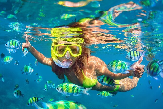 Phi Phi and Khai Islands Snorkeling Tour with Lunch by Speedboat - Maya Bay: famous, beautiful, and rarely quiet