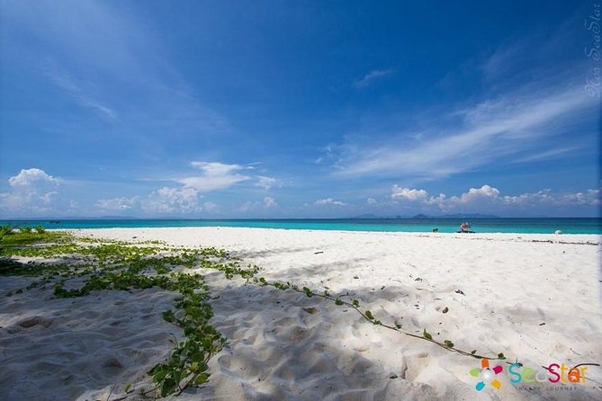 Phi Phi & Bamboo Islands Full-Day Tour by Speedboat From Phuket - Maya Bay is famous for good reason, but manage expectations