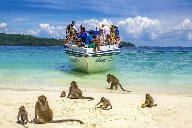 Phi Phi Island from Phuket by Speedboat (SHA Plus) - Phi Phi Don: buffet lunch and a short reset