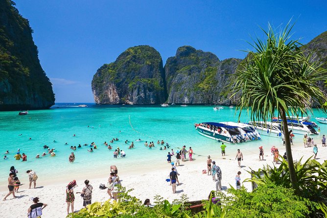Phi Phi Island from Phuket by Speedboat (SHA Plus) - Maya Bay needs a careful check