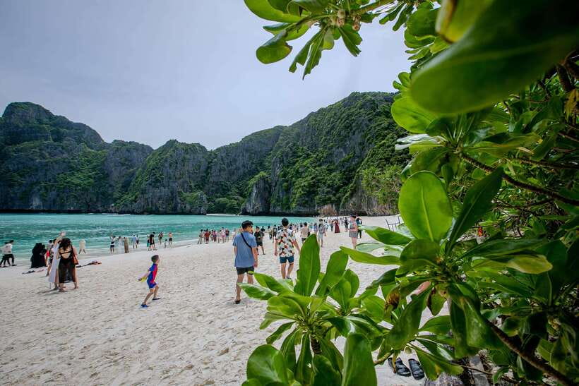 Phi Phi Island: Maya bay Sunset & Plankton by Speedboat - Key things to know before booking