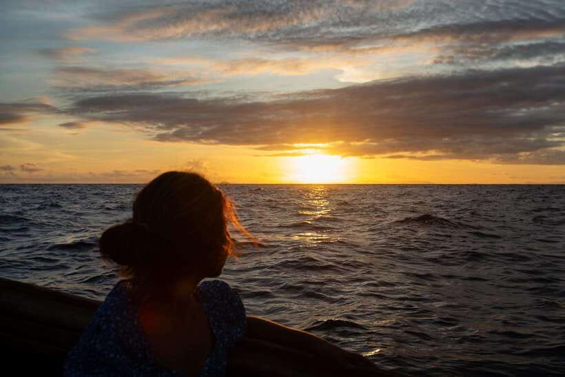 Phi Phi Island: Maya bay Sunset & Plankton by Speedboat - Shark Point snorkeling