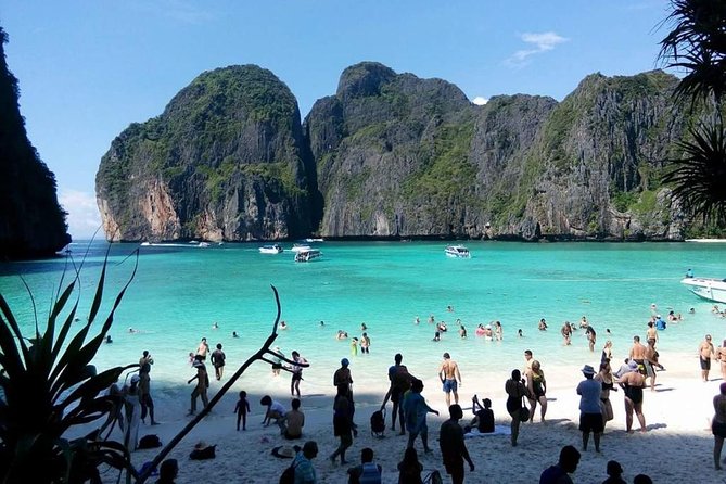 Phi Phi Island Tour by Speedboat from Krabi with Lunch (SHA Plus) - Viking Cave is a short sightseeing stop