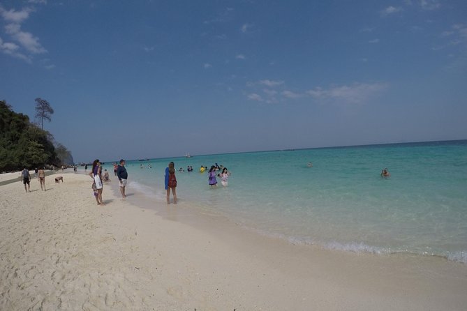 Phi Phi Islands Day Tour Bamboo and Maya Bay with Lunch By Speedboat - Lunch and downtime on Phi Phi Don