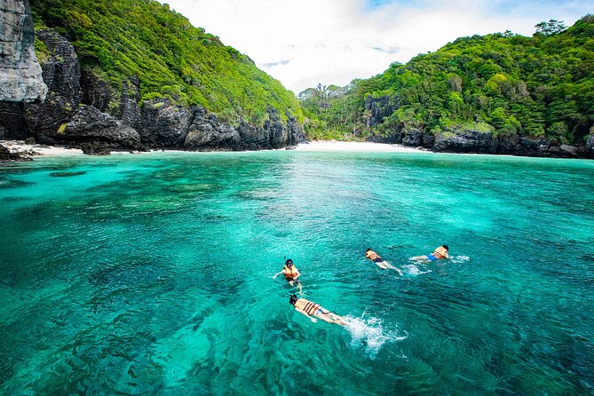Phi Phi Islands One Day Tour By Speedboat from Krabi - Maya Bay is famous, but manage your expectations
