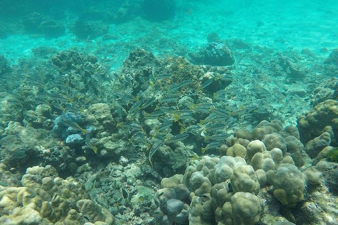Phi Phi Islands One Day Tour by Speedboat From Phuket - Snorkeling, swimming, and Khai Nai Island