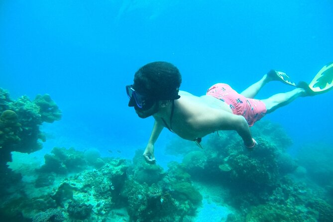 Phi Phi & Khai Islands Speedboat Tour from Phuket with Snorkeling - Key Points Before You Book