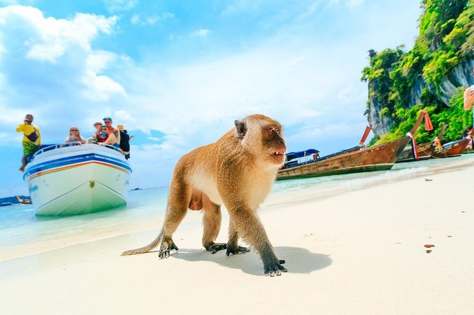 Phi Phi , Khai & Maya : Unforgettable Island Hopping by Speedboat - Khai Nok Island is the easygoing final stop
