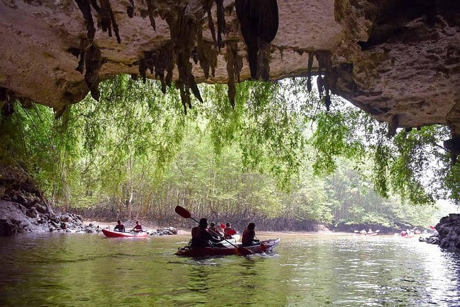 Phi Phi, Maya and Bamboo Islands Day Tour by Speedboat in Krabi - Loh Samah Bay: snorkeling with a time limit