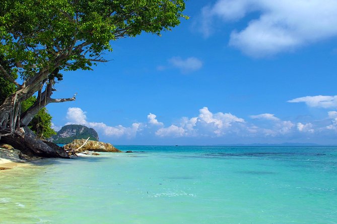 Phi Phi & Maya Bay Speedboat: All-Day Food & Choice of 3 Marinas - Snorkeling, Khai Island, and paid extras