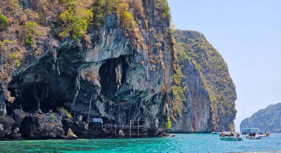 Phi Phi: Morning Speedboat Tour to Maya Bay with Snorkel - Should you book this Phi Phi tour?