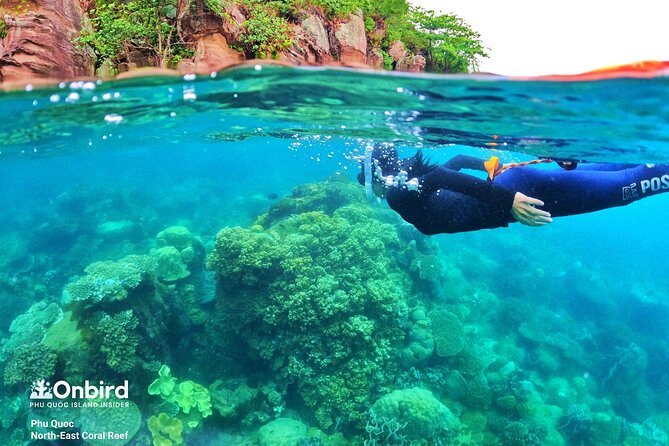 [Phu Quoc] Private Speedboat & Short-Snorkel: South Hidden Reefs - Why the private format matters
