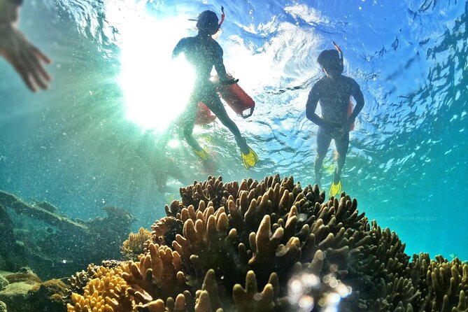 [Phu Quoc] Private Speedboat & Short-Snorkel: South Hidden Reefs - The guide can make or break the water time