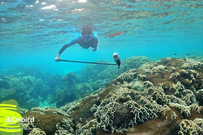 [Phu Quoc] Private Speedboat & Short-Snorkel: South Hidden Reefs - Timing, weather, and the fine print