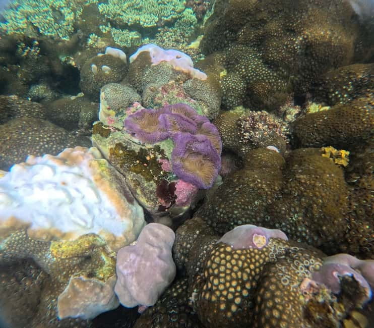 Phu Quoc: Snorkeling and Island Hopping by Speedboat & Lunch - May Rut Ngoai for swimming and photos