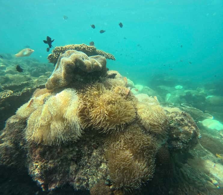 Phu Quoc: Snorkeling and Island Hopping by Speedboat & Lunch - Gam Ghi and the main snorkeling sessions