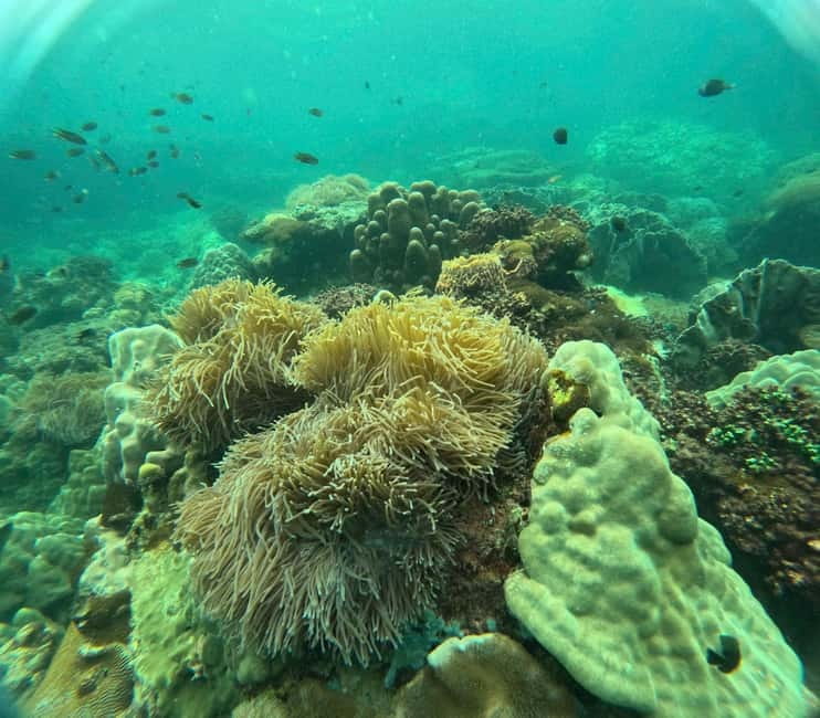 Phu Quoc: Snorkeling and Island Hopping by Speedboat & Lunch - The 8:30 pickup and port departure