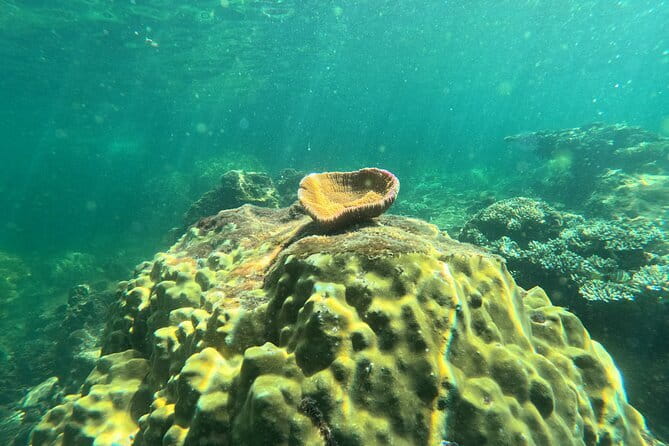 Phu Quoc: Snorkeling and Island Hopping By Speedboat with Lunch - May Rut Island: beach time and the photo stop