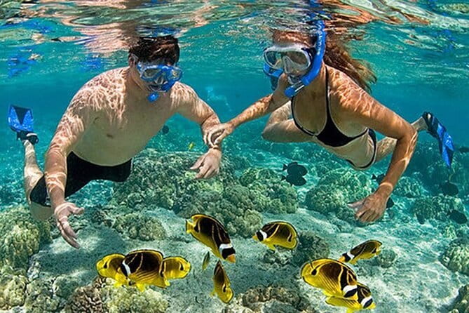 Phu Quoc: Snorkeling and Island Hopping By Speedboat with Lunch - What the day feels like in practice