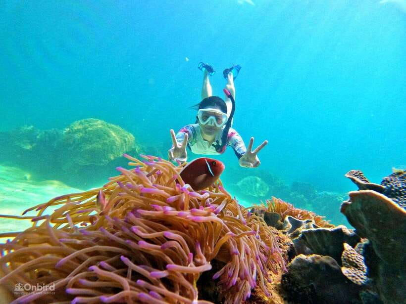 Phu Quoc: Speed Boat Tour 4 Islands - 2 Reefs Snorkeling - Why the small speedboat changes the day
