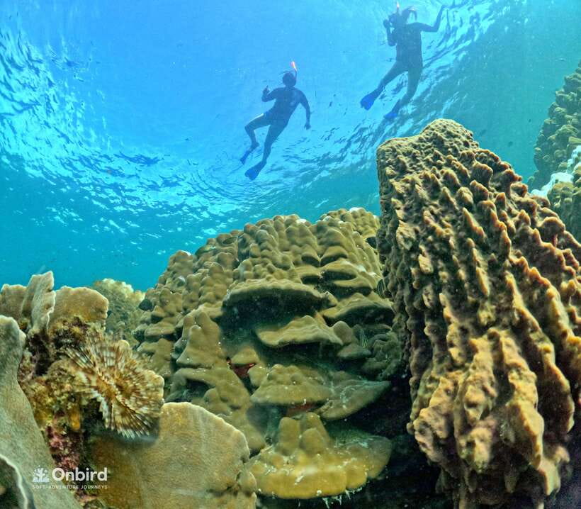 Phu Quoc: Speed Boat Tour 4 Islands - 2 Reefs Snorkeling - The second reef: more time for coral and marine life