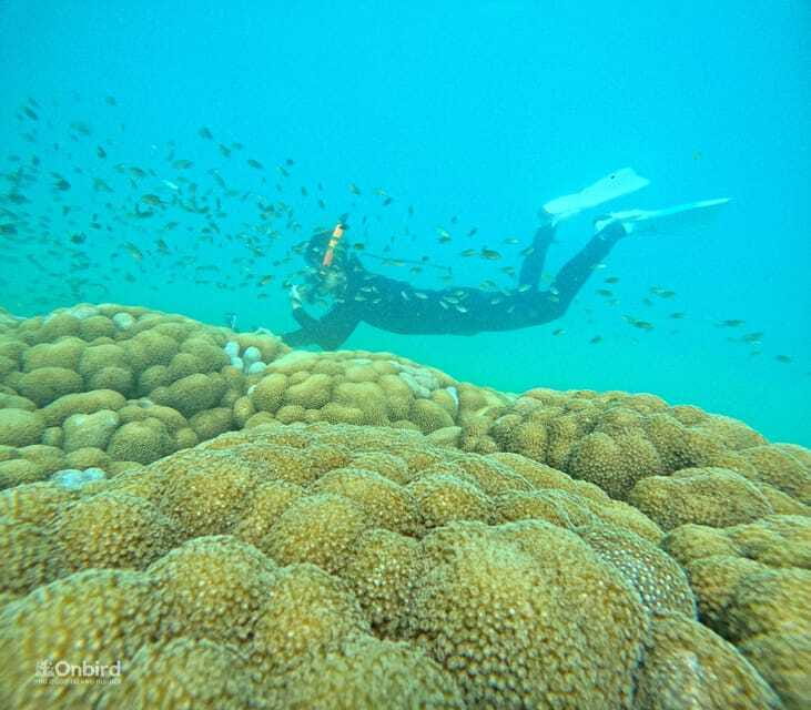 Phu Quoc: Speed Boat Tour 4 Islands - 2 Reefs Snorkeling - Four islands, then a quiet place to recharge