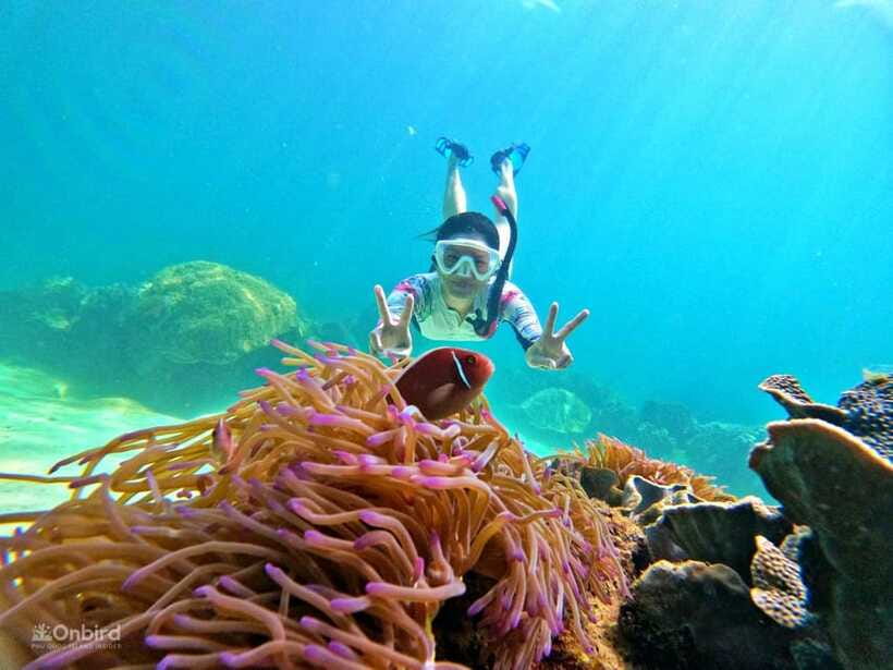 Phu Quoc: Speed Boat Tour 4 Islands - 2 Reefs Snorkeling - Who will enjoy this tour most
