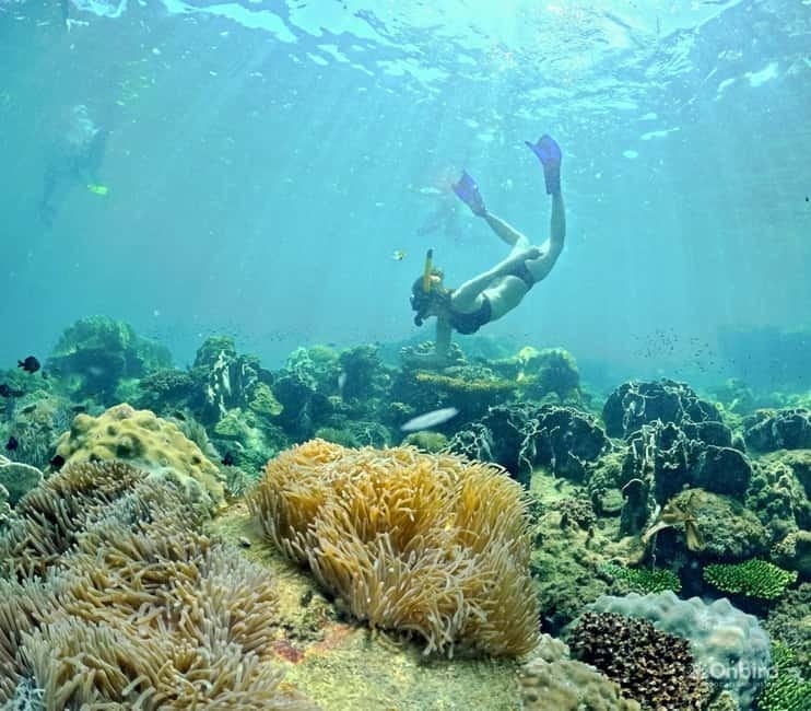 Phu Quoc Speedboat Pro Snorkeling: 4 Islands-2 Reefs & Meal - What makes this Phu Quoc snorkeling trip different