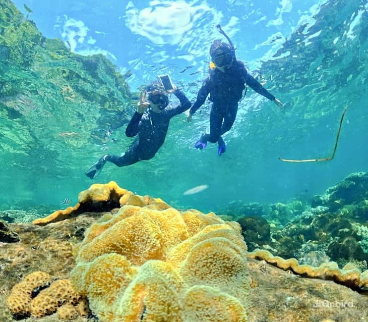 Phu Quoc Speedboat Pro Snorkeling: 4 Islands-2 Reefs & Meal - Stops two and three: two reefs with instructor support