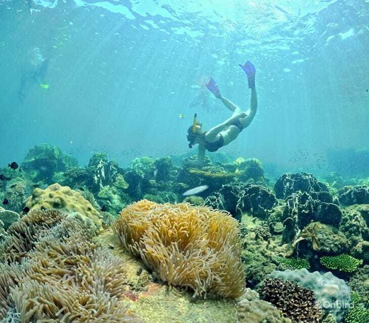 Phu Quoc Speedboat Pro Snorkeling: 4 Islands-2 Reefs & Meal - Stop four: beach chairs, fruit, and a slower hour