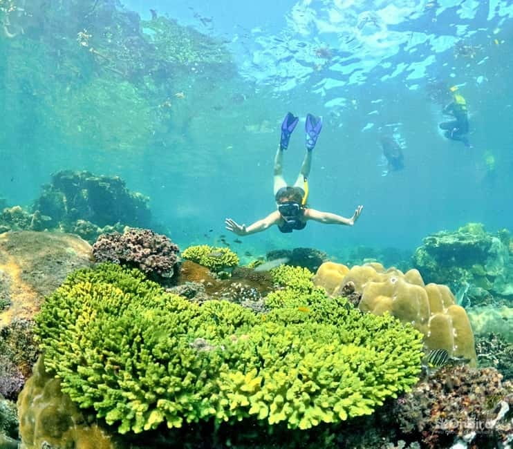 Phu Quoc Speedboat Pro Snorkeling: 4 Islands-2 Reefs & Meal - Equipment, safety, and the small details that matter