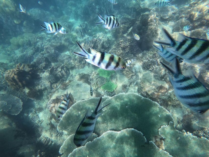 Phu Quoc: Speedboat Tour of 4 Islands with Snorkeling & BBQ - What to bring for a more comfortable day
