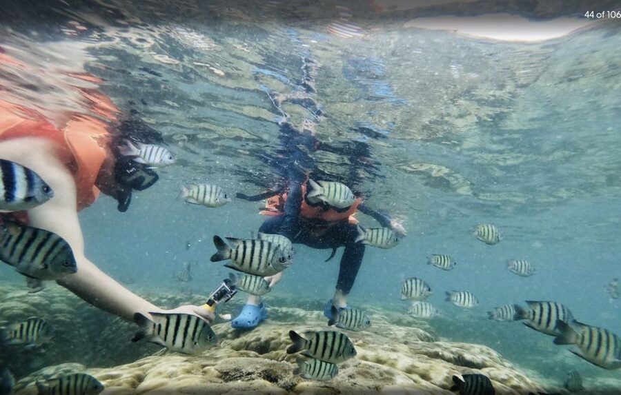 Phu Quoc: Speedboat Tour of 4 Islands with Snorkeling & BBQ - Why the small-group setup matters