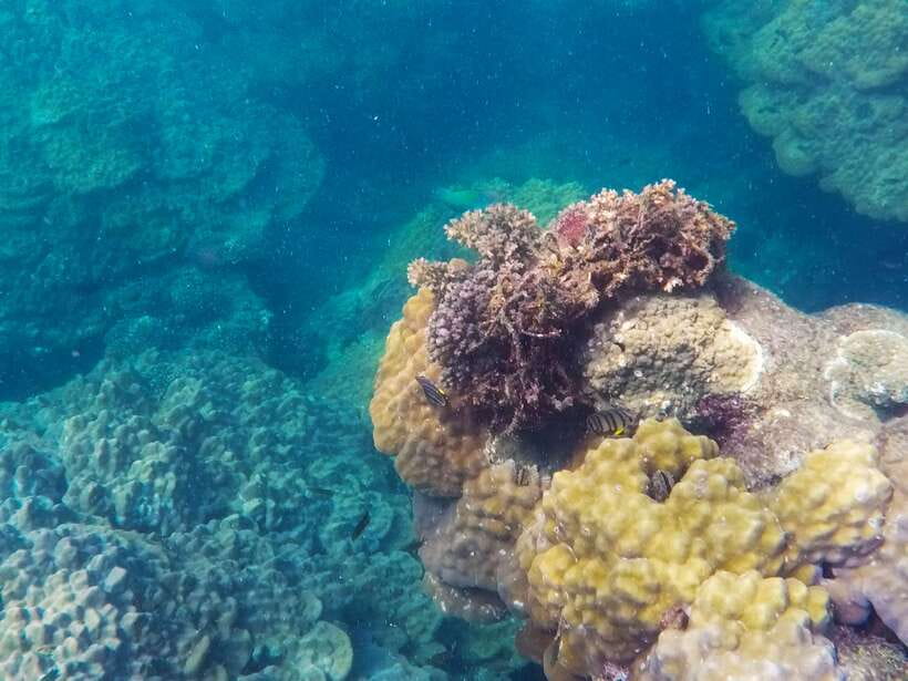 Phu Quoc Speedboat Trip: 3 Islands By Speedboat - What the $36 price really includes