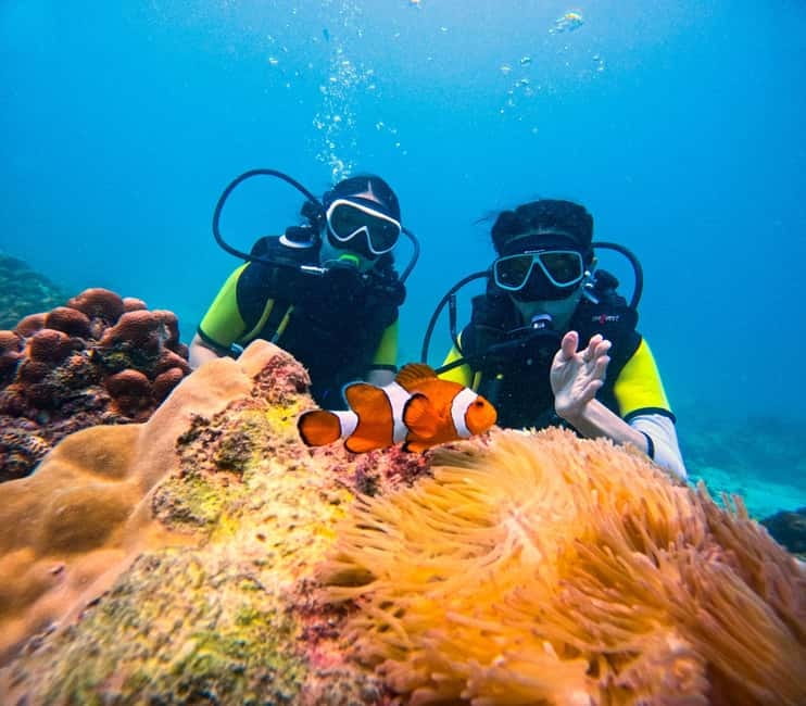 Phuket: 3 Khai Islands Speedboat Tour- Snorkeling & Relaxing - Five useful things to know before you go