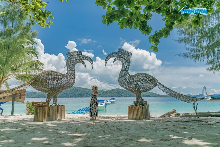 Phuket: Coral Island Day Tour by Speedboat - Who should book this Coral Island trip?