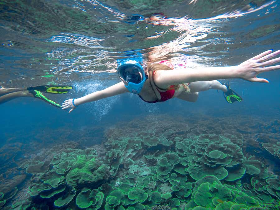 Phuket: Deluxe Phi Phi Tour by Speedboat & Lunch Buffet - Five things to know before booking