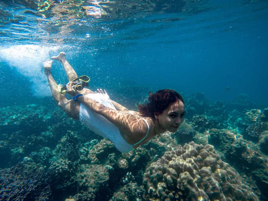 Phuket: Deluxe Phi Phi Tour by Speedboat & Lunch Buffet - What the $101 price gets you