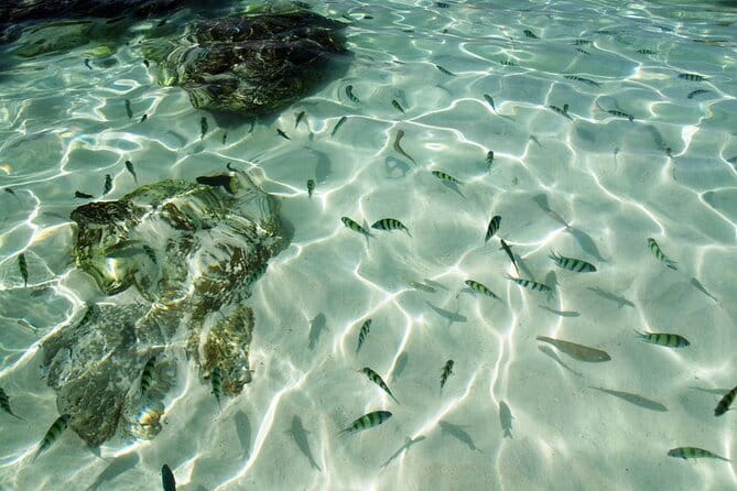 Phuket: Half Day Khai Islands by Speedboat - Speedboat Travel and Group Size